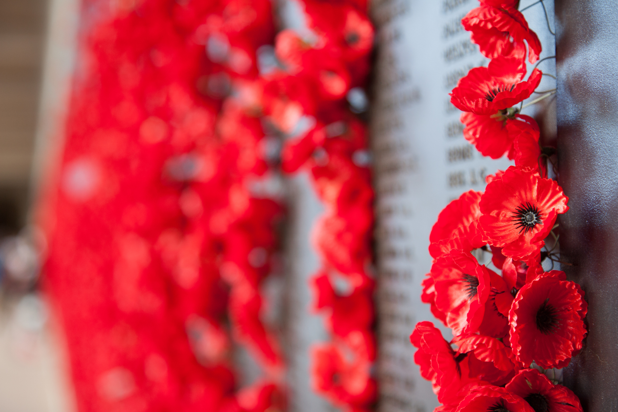 Supporting those who serve this ANZAC Day: Two customer-owned banks making a year-round impact