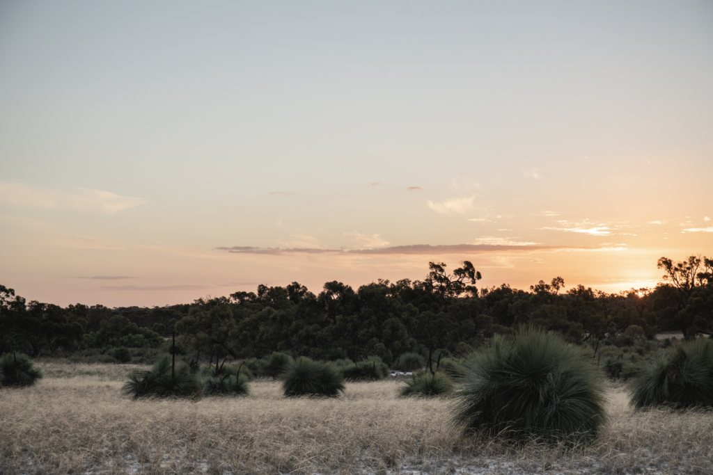 Bank Australia Reserve 1